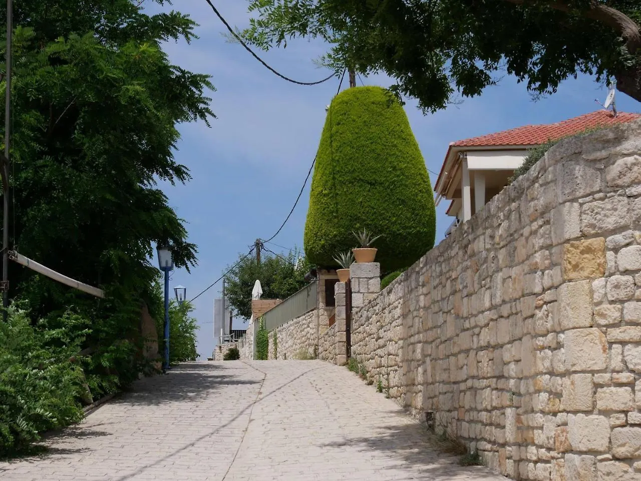 Lejlighedshotel Athina'S Studios With Garden Afytos